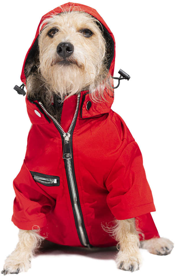 Capa de Chuva Future Pet La Casa de Papel para Cães - Tam. PP