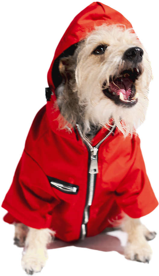 Capa de Chuva Future Pet La Casa de Papel para Cães - Tam. PP