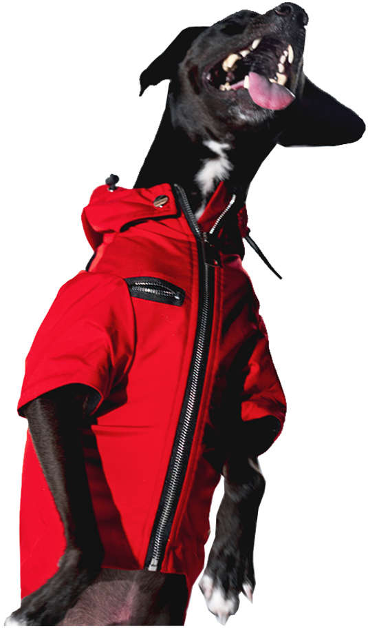 Capa de Chuva Future Pet La Casa de Papel para Cães - Tam. PP