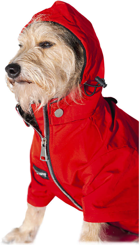 Capa de Chuva Future Pet La Casa de Papel para Cães - Tam. PP