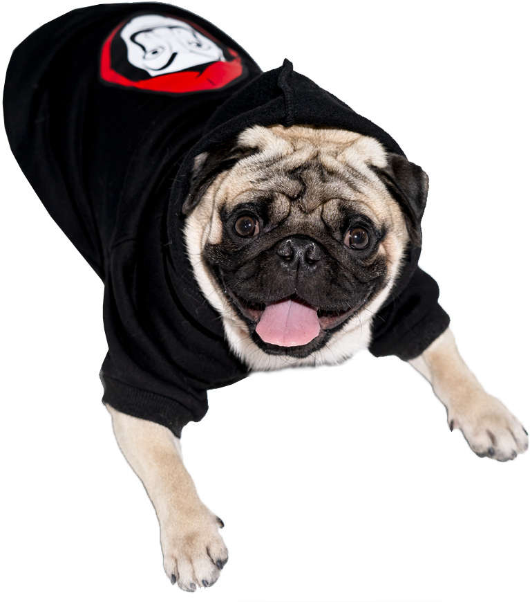 Moletom Future Pet La Casa de Papel Preto para Cães - Tam. P