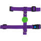 Peitoral H e Guia Color Block Purple para Cães