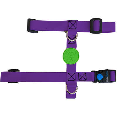 Peitoral H e Guia Color Block Purple para Cães