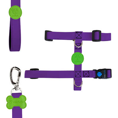 Peitoral H e Guia Color Block Purple para Cães