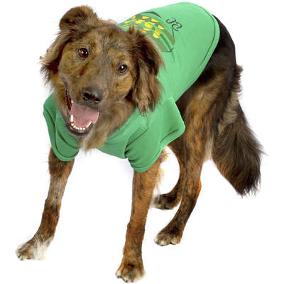 Blusão Bichinho Chic Verde