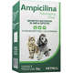 Antibiótico Vetnil Ampicilina para Cães e Gatos