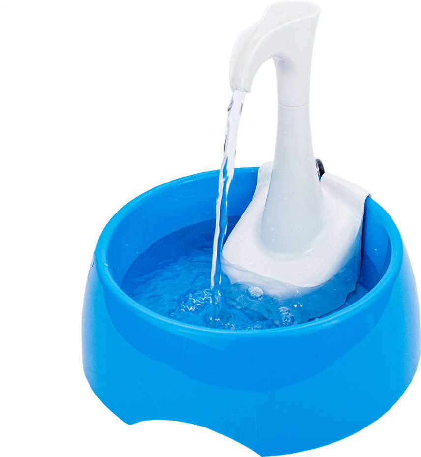 Fonte Bebedouro Aqua First Bivolt Azul - Tam. Único