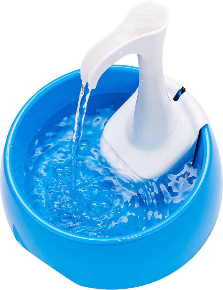 Fonte Bebedouro Aqua First Bivolt Azul - Tam. Único