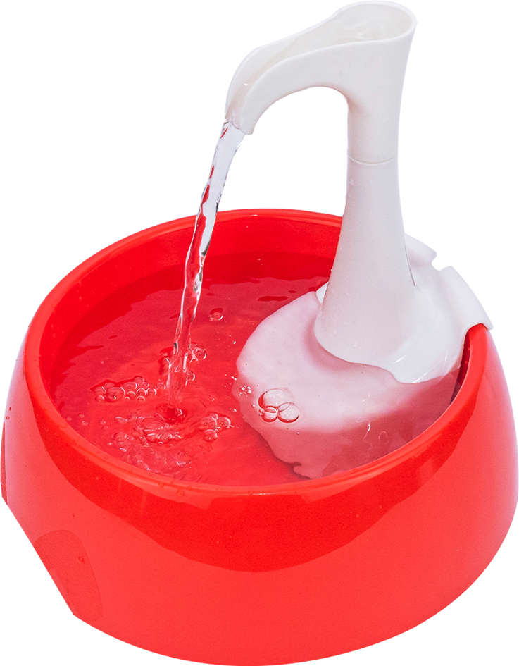 Fonte Bebedouro Aqua First Bivolt Vermelha - Tam. Único