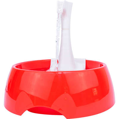 Fonte Bebedouro Aqua First Bivolt Vermelha