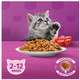 Ração Whiskas Carne e Leite para Gatos Filhotes