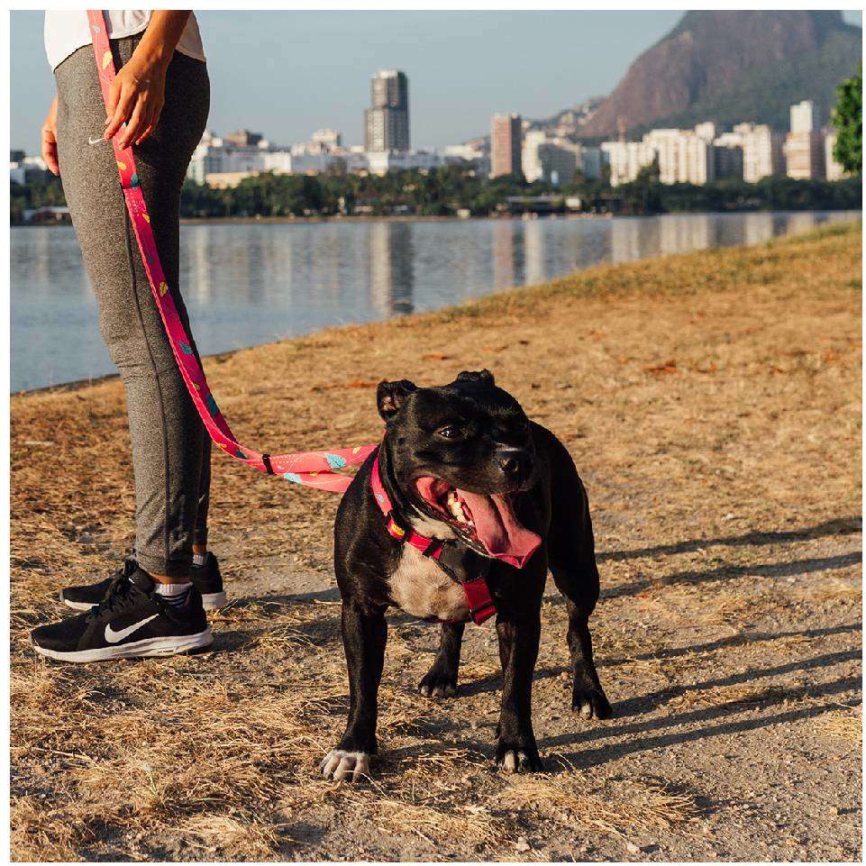 Guia Running Olivia para Cães - Tam. Único
