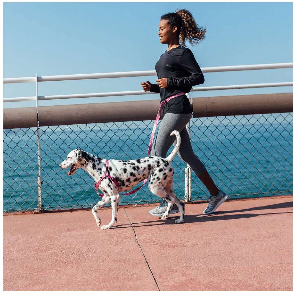 Guia Running Camuflada Rosa para Cães - Tam. P