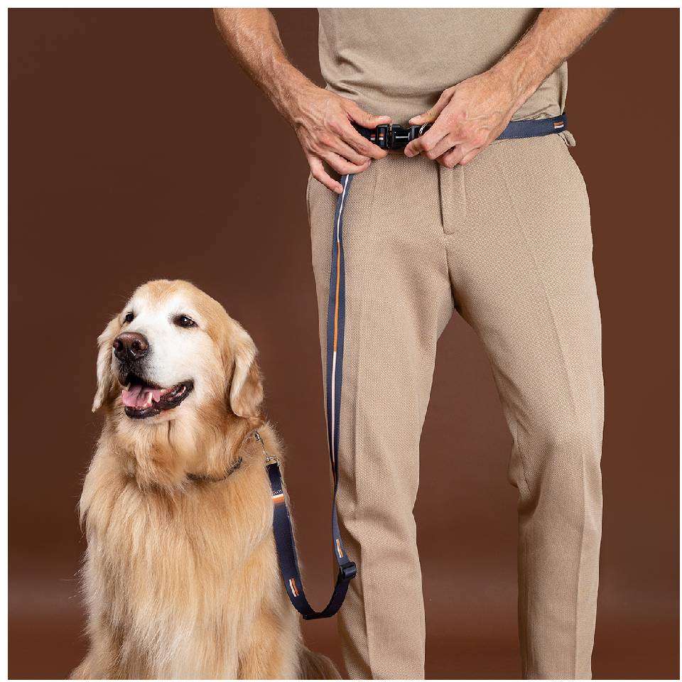 Guia Running Bob e Marley para Cães - Tam. G