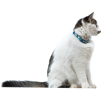 Coleira Toh U Noronha para Gatos