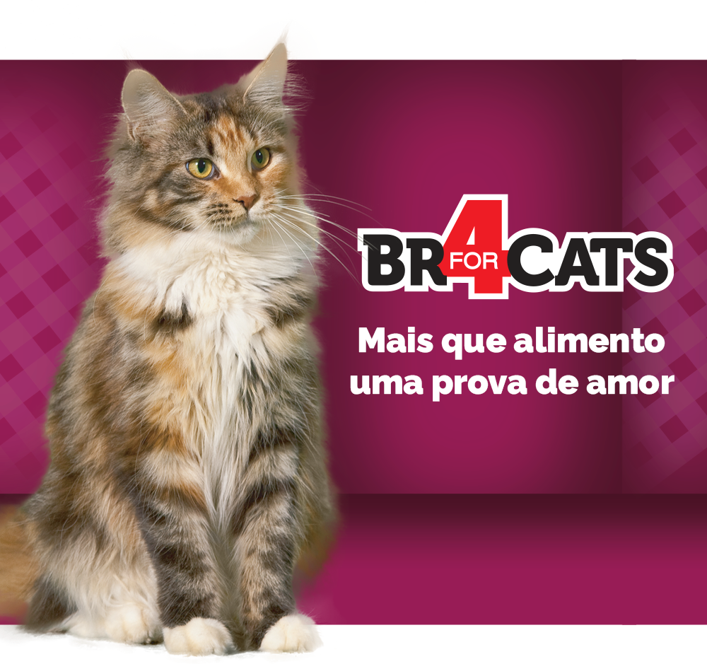 Ração Seca BR4 Cats Peixe e Frango para Gatos Adultos - 3Kg