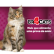Ração Seca BR4 Cats Peixe e Frango para Gatos Adultos