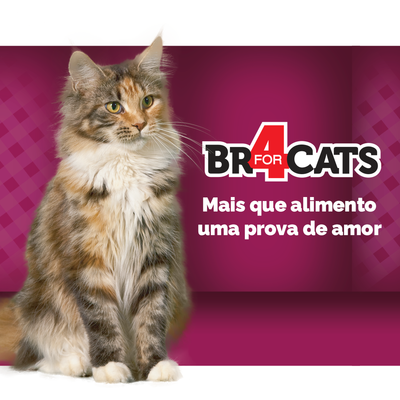 Ração Seca BR4 Cats Peixe e Frango para Gatos Adultos