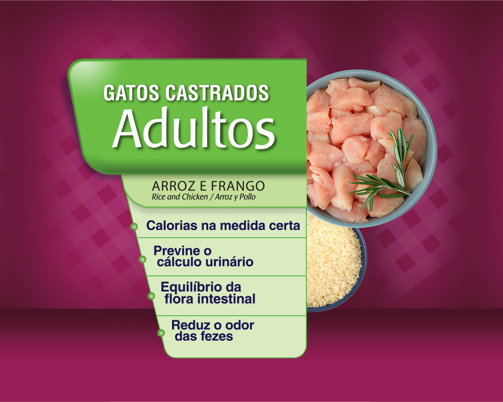 Ração Seca BR4 Cats Arroz e Frango para Gatos Castrados - 3Kg