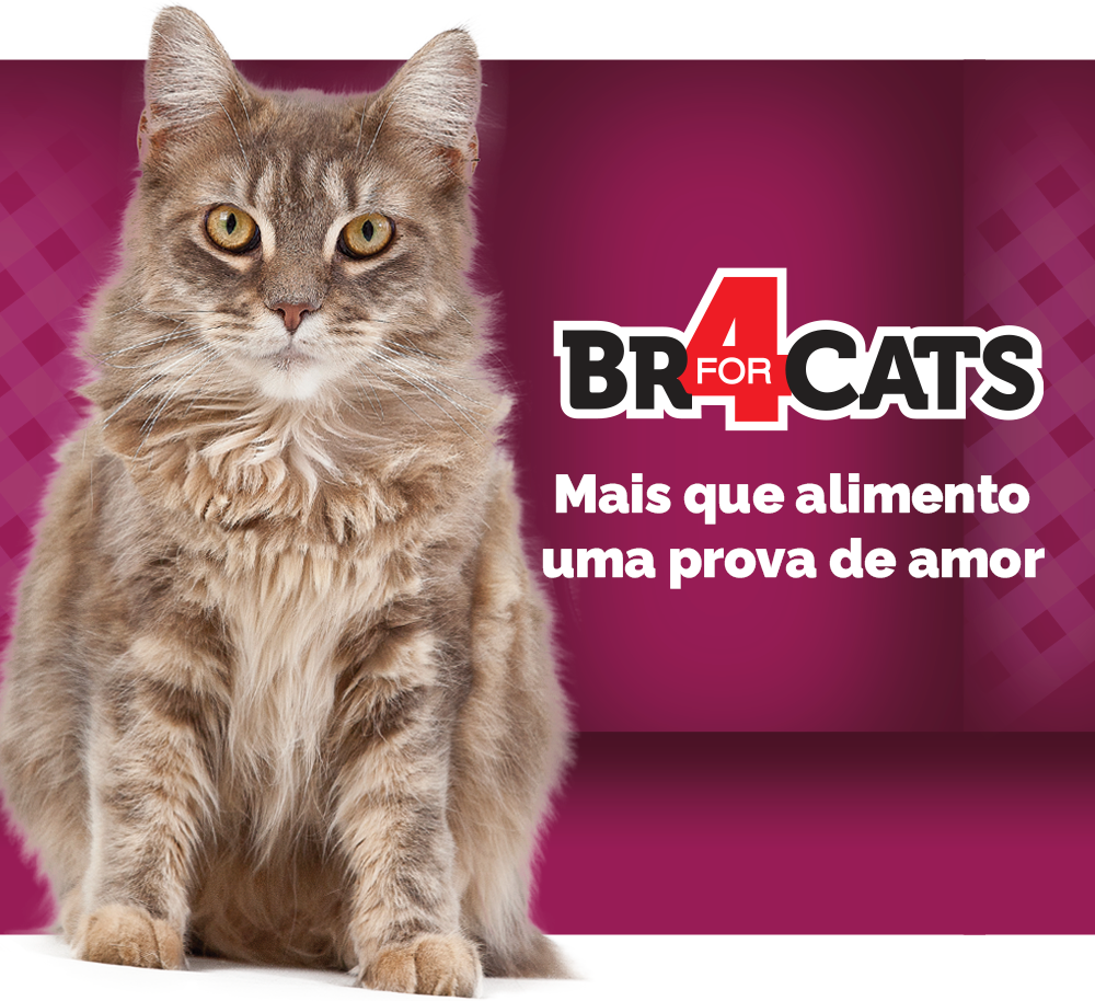 Ração Seca BR4 Cats Arroz e Frango para Gatos Castrados - 3Kg