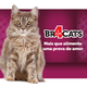 Ração Seca BR4 Cats Arroz e Frango para Gatos Castrados