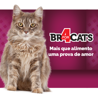Ração Seca BR4 Cats Arroz e Frango para Gatos Castrados