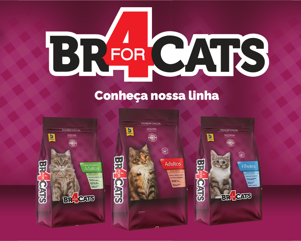 Ração Seca BR4 Cats Peixe e Frango para Gatos Filhotes - 7Kg