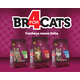 Ração Seca BR4 Cats Peixe e Frango para Gatos Filhotes