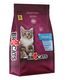 Ração Seca BR4 Cats Peixe e Frango para Gatos Filhotes