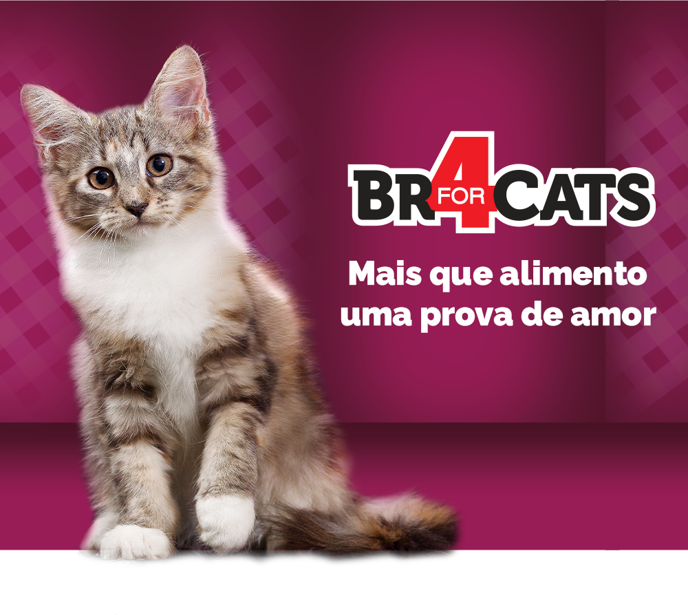 Ração Seca BR4 Cats Peixe e Frango para Gatos Filhotes - 7Kg
