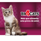 Ração Seca BR4 Cats Peixe e Frango para Gatos Filhotes