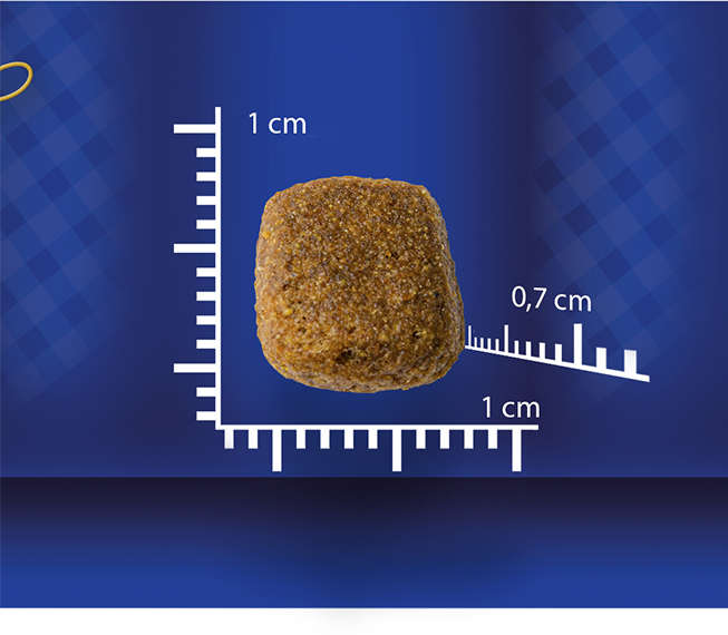 Ração Seca BR4 Dogs Arroz e Frango para Cães Sênior - 3Kg