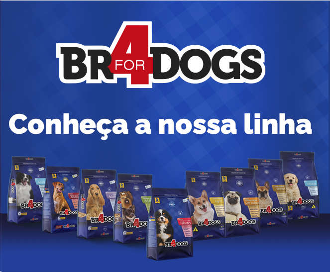 Ração Seca BR4 Dogs Arroz e Frango para Cães Sênior - 3Kg