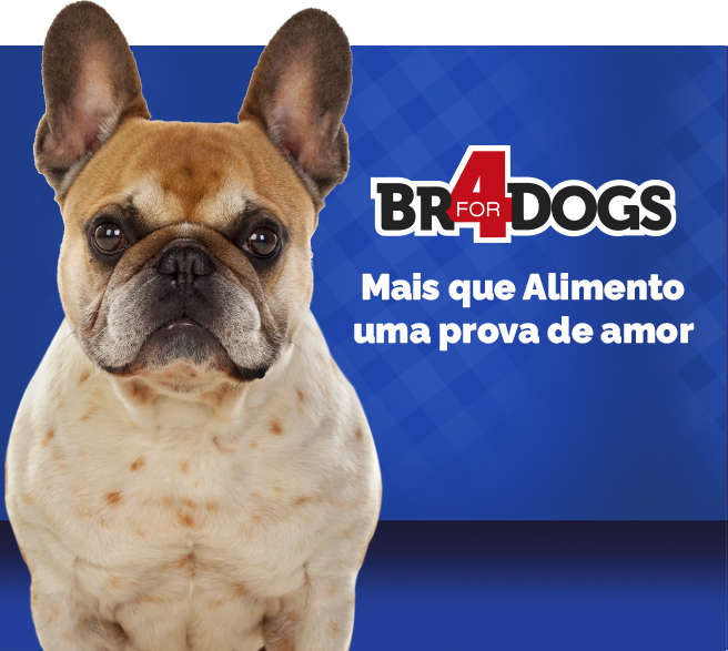 Ração Seca BR4 Dogs Arroz e Frango para Cães Sênior - 3Kg