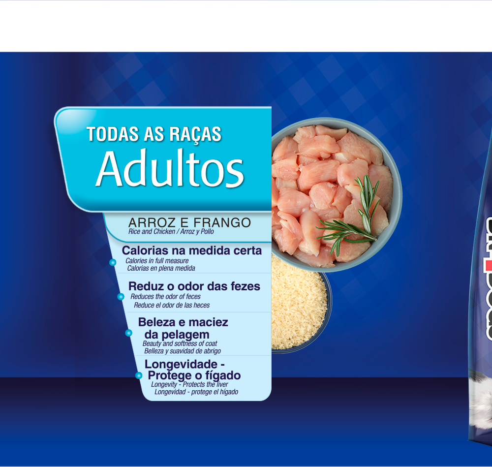 Ração Seca BR4 Dogs Arroz e Frango Para Cães Adultos - 3Kg