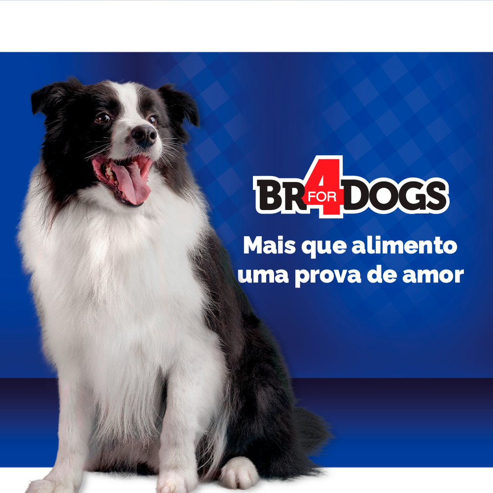 Ração Seca BR4 Dogs Arroz e Frango Para Cães Adultos - 3Kg
