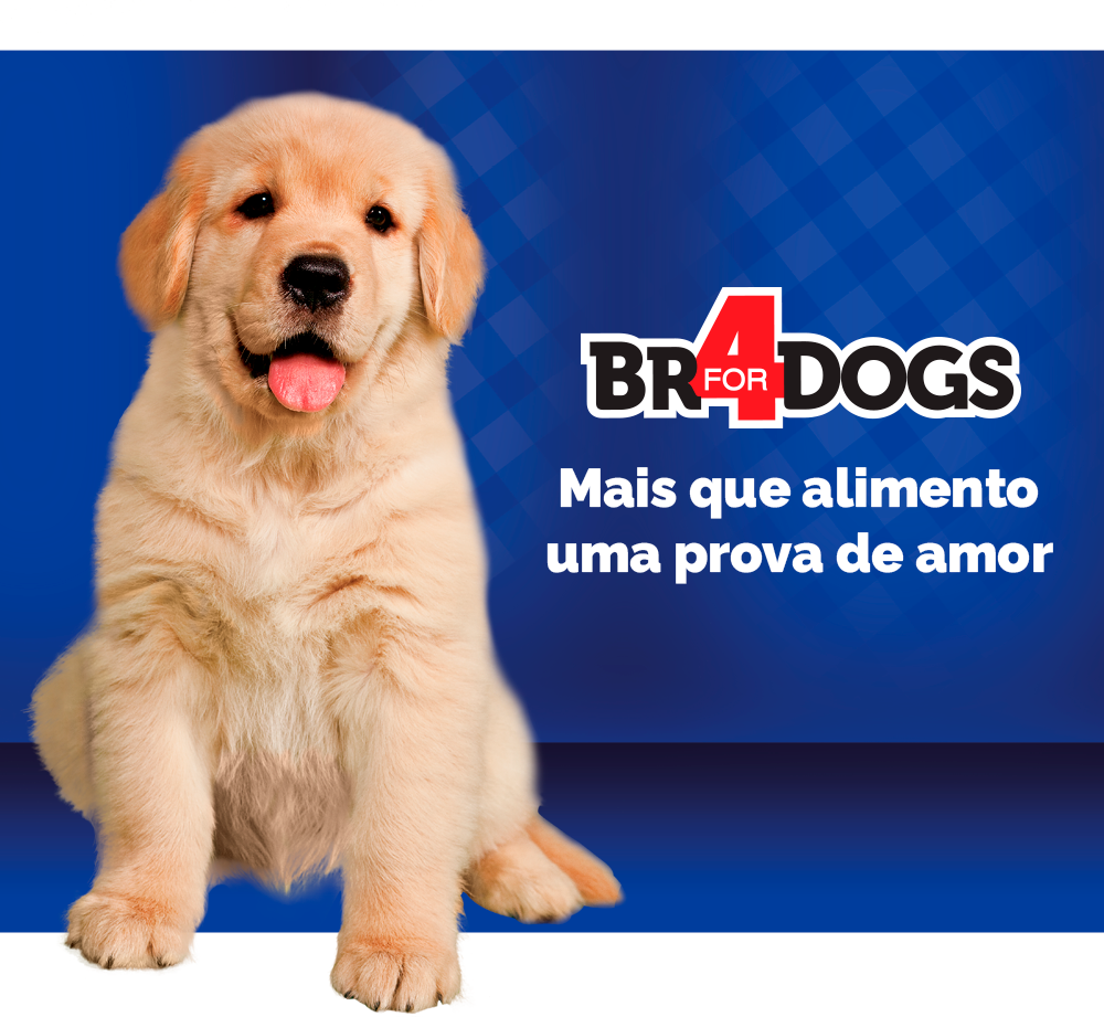 Ração Seca BR4 Dogs Arroz e Frango para Cães Filhotes - 1Kg