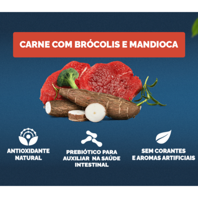 Ração Seca Snow Dog Carne com Brócolis para Cães Adultos