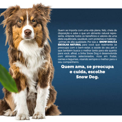 Ração Seca Snow Dog Carne com Brócolis para Cães Adultos