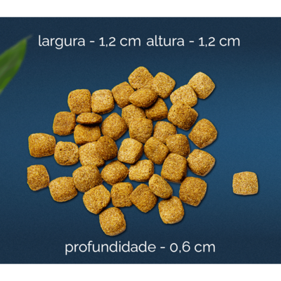 Ração Seca Snow Dog Frango com Tomate para Cães Adultos