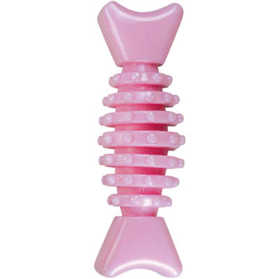 Brinquedo Mordedor Ossinho Baby Dent Rosa