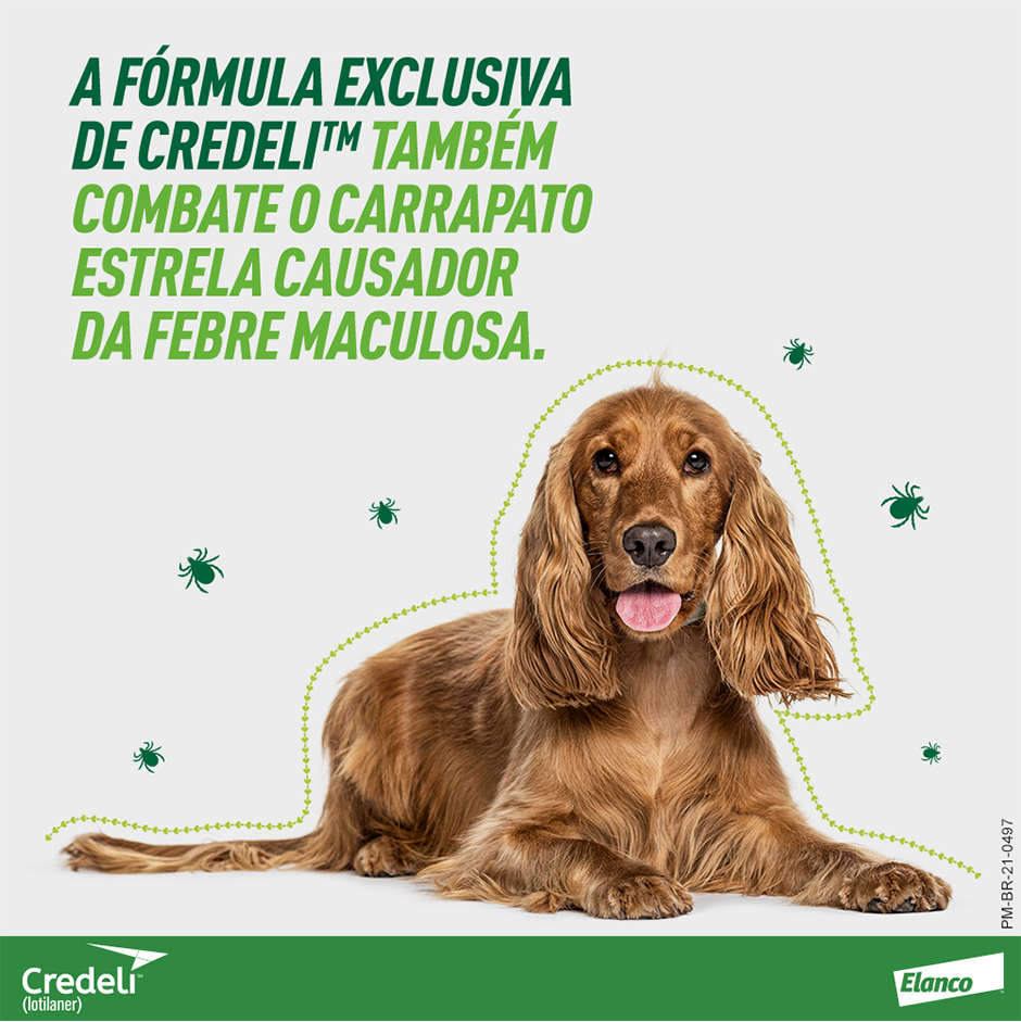 Antipulgas e Carrapatos Credeli 56,25 mg para Cães de 1,3 a 2,5Kg - 3 Comprimidos