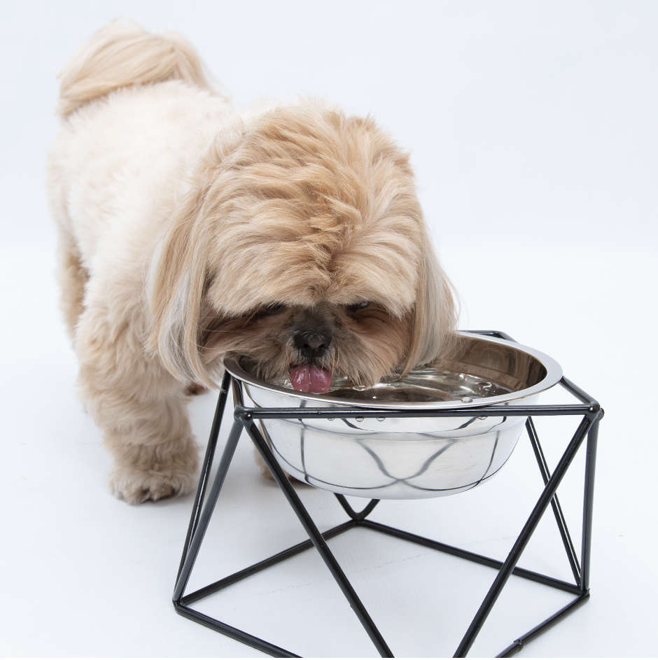 Comedouro NF Pet Ergo Design Inox - 900 mL
