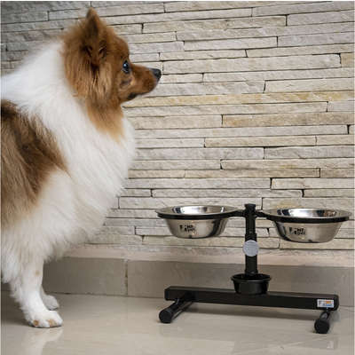 Comedouro NF Pet Duplo Antiformiga Inox | Petlove