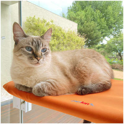 Cama Janela com Ventosa Petlon Laranja para Gatos