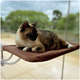 Cama Janela com Ventosa Petlon Marrom para Gatos
