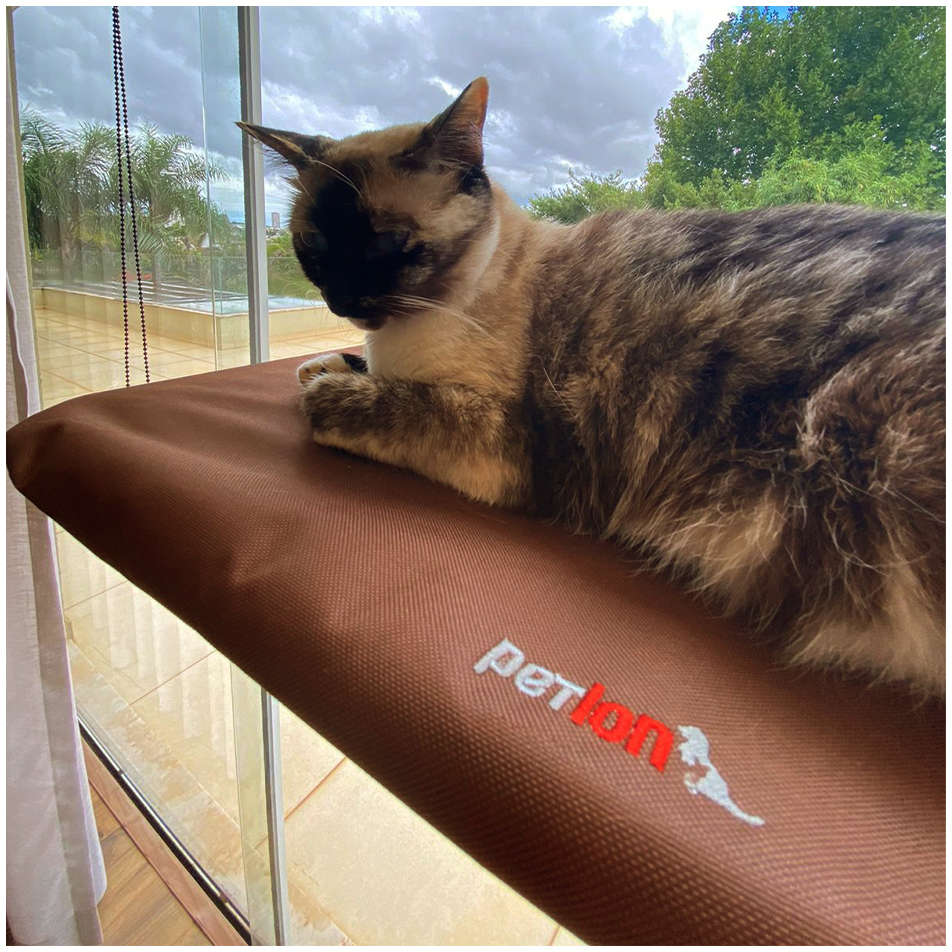 Cama Janela com Ventosa Petlon Marrom para Gatos - Tam. Único