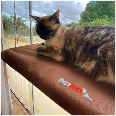 Cama Janela com Ventosa Petlon Marrom para Gatos