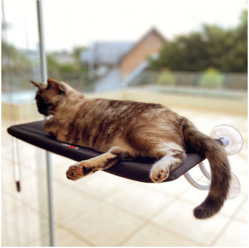 Cama Janela com Ventosa Petlon Preta para Gatos - Tam. Único