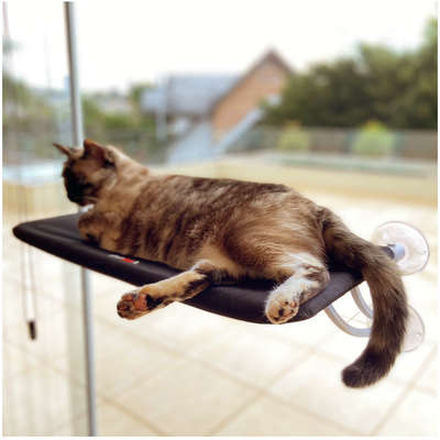 Cama Janela com Ventosa Petlon Preta para Gatos